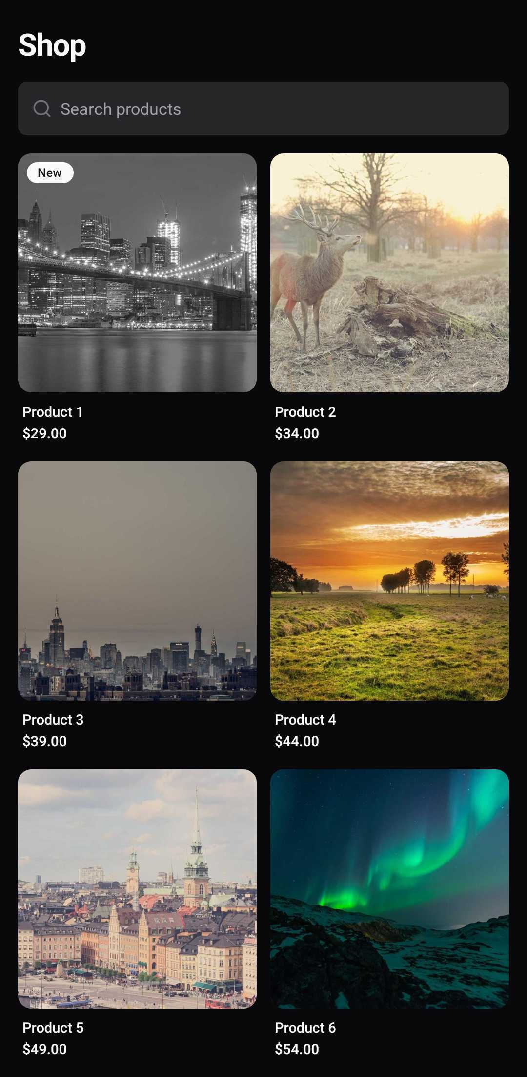 E-Commerce Template — Catalog (dark)