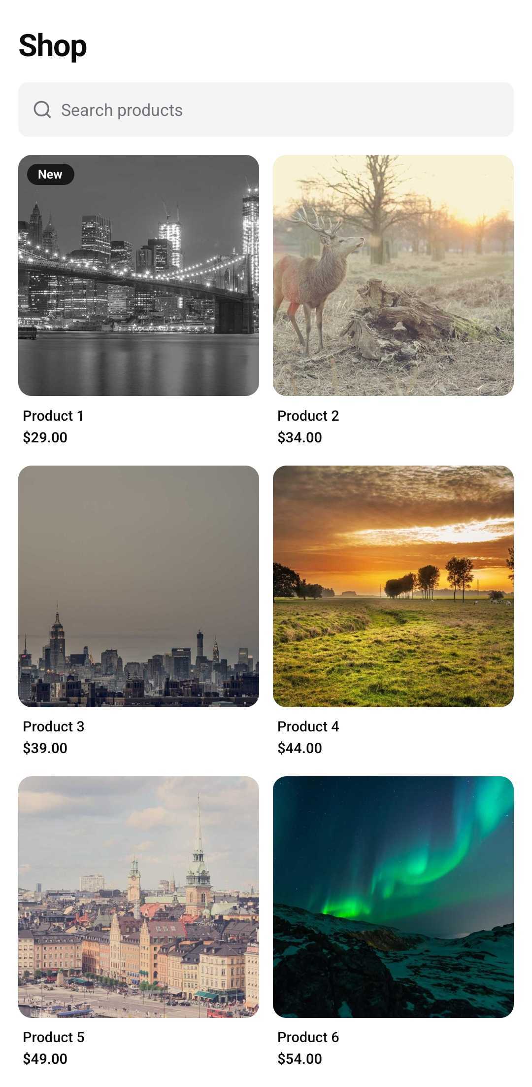 E-Commerce Template — Catalog (light)